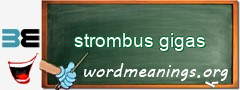 WordMeaning blackboard for strombus gigas